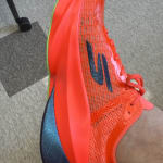 Contenido multimedia 1 de 3 enviado por el usuario